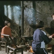 点击查看图片 双飞燕