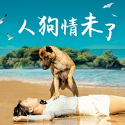 点击查看图片 人狗情未了