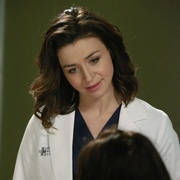 实习医生格蕾 第十一季 Grey's Anatomy Season 11