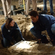 点击查看图片 犯罪现场调查 第五季 CSI: Crime Scene Investigation Season 5