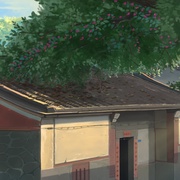 美人鱼的夏天