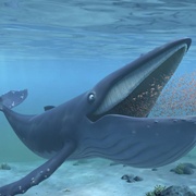 海螺和鲸鱼 The Snail and the Whale