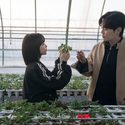 点击查看图片 未知的首尔 미지의 서울
