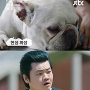 点击查看图片 比天堂还美丽 천국보다 아름다운