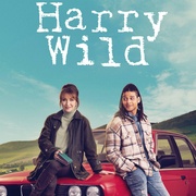 野探哈莉 第三季 Harry Wild Season 3