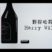野探哈莉 第三季 Harry Wild Season 3