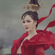 双生赤狐