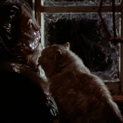 黑色圣诞节 Black Christmas