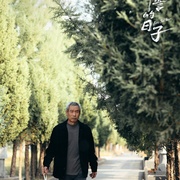 点击查看图片 刑警的日子