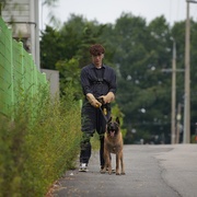 爱情像猫一样 사랑은 고양이처럼