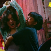 点击查看图片 向阳·花