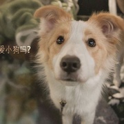 点击查看图片 我会好好的