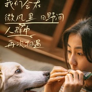 点击查看图片 我会好好的