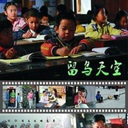 点击查看图片 留鸟天空