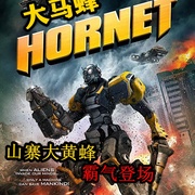 山寨大黄蜂 Hornet