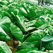 点击查看图片 除恶