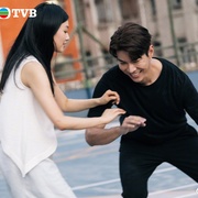 点击查看图片 金式森林