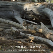 点击查看图片 美丽美利坚 America the Beautiful