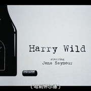 野探哈莉 第二季 Harry Wild Season 2