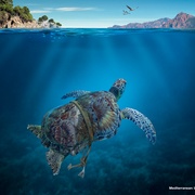 地中海 Mediterranean: Life Under Siege