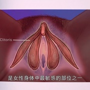 愉悦法则 The Principles of Pleasure