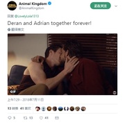 点击查看图片 野兽家族 第三季 Animal Kingdom Season 3