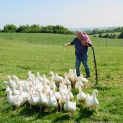 点击查看图片 克拉克森的农场 第五季 Clarkson's Farm Season 5