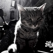 点击查看图片 说走就走之不说再见
