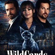 点击查看图片 百变王牌 第三季 Wild Cards Season 3
