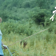 花儿与歌声