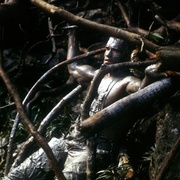 铁血战士 Predator