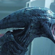 点击查看图片 普罗米修斯 Prometheus