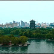 点击查看图片 格桑花之爱在前行