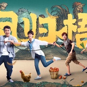 点击查看图片 凤归梧桐