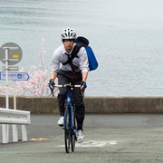 飙速宅男 弱虫ペダル