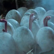 点击查看图片 龙潭巨兽