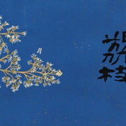 点击查看图片 长安的荔枝