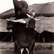 戏王之王 The Greatest Show on Earth
