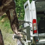 点击查看图片 怪物猎人们 Monster Hunters