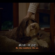 点击查看图片 律师菲斯克 第一季 Fisk Season 1