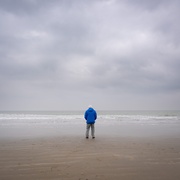 大卫·爱登堡：海洋 David Attenborough: Ocean