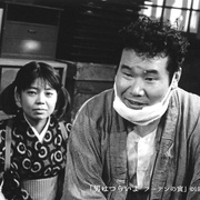 点击查看图片 寅次郎的故事3:寅次郎温柔的爱 男はつらいよ フーテンの寅