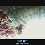 点击查看图片 魔窟 The Cave