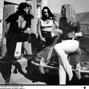 点击查看图片 小野猫公路历险记 Faster, Pussycat! Kill! Kill!