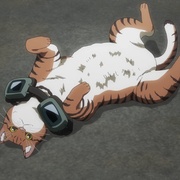 活死喵之夜 ニャイト・オブ・ザ・リビングキャット