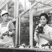 点击查看图片 只有女人的夜晚 女ばかりの夜