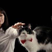 点击查看图片 喵星人的奇思妙想 Inside the Mind of a Cat
