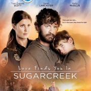 甜蜜湾之恋 Love Finds You in Sugarcreek