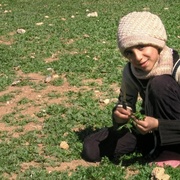 小巴勒斯坦——围城日记 Little Palestine (Diary of a Siege)