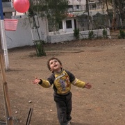 小巴勒斯坦——围城日记 Little Palestine (Diary of a Siege)